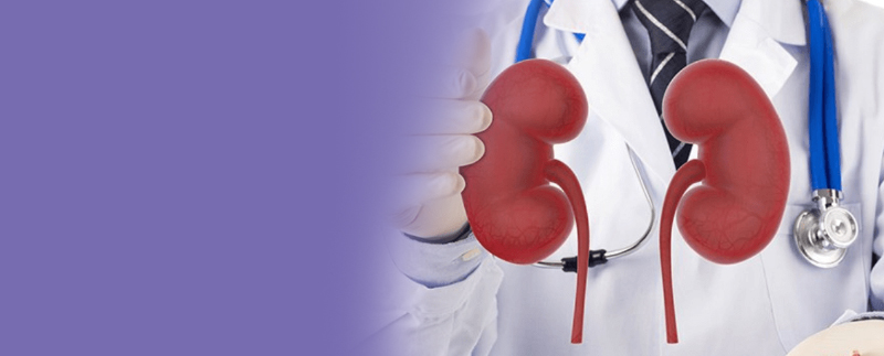 best nephrologist in thane
